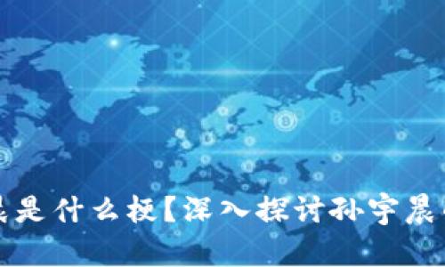 区块链孙宇晨是什么梗？深入探讨孙宇晨的影响与意义