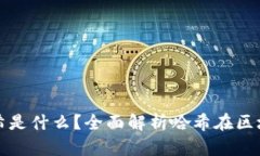 区块链中的哈希是什么？全面解析哈希在区块链