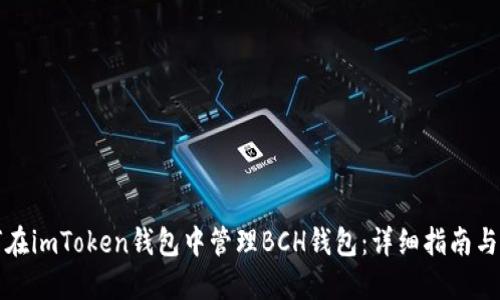 如何在imToken钱包中管理BCH钱包：详细指南与技巧
