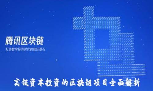   
高瓴资本投资的区块链项目全面解析