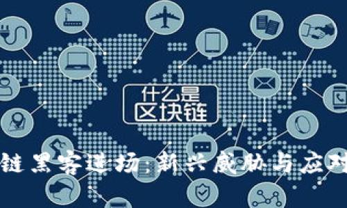 区块链黑客进场：新兴威胁与应对策略