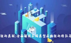 区块链的类别：全面解析不同类型区块链的特征