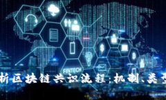 深入解析区块链共识流程：机制、类型与应用