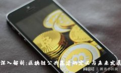 深入解析：区块链公共基建的定义与未来发展