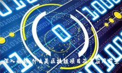 深入解析：什么是区块链项目及其应用前景