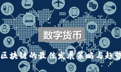 未来区块链的最佳发展策略与趋势分析