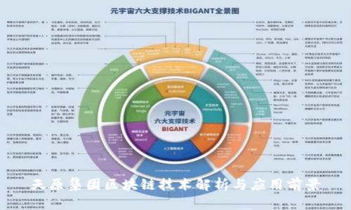天原集团区块链技术解析与应用前景
