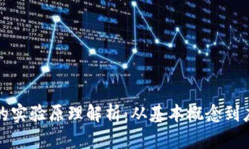 区块链的实验原理解析：从基本概念到应用实例