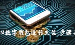 如何使用IM数字钱包进行充值：步骤与注意事项