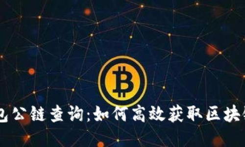IM钱包公链查询：如何高效获取区块链信息
