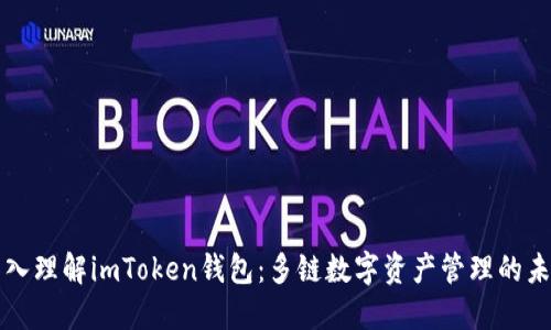 深入理解imToken钱包：多链数字资产管理的未来