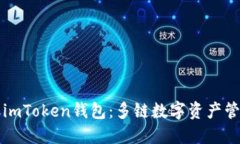 深入理解imToken钱包：多链数字资产管理的未来