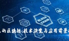 退火的区块链：技术演变与应用前景探讨