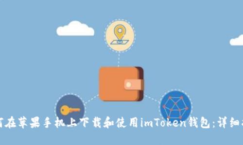 如何在苹果手机上下载和使用imToken钱包：详细指南
