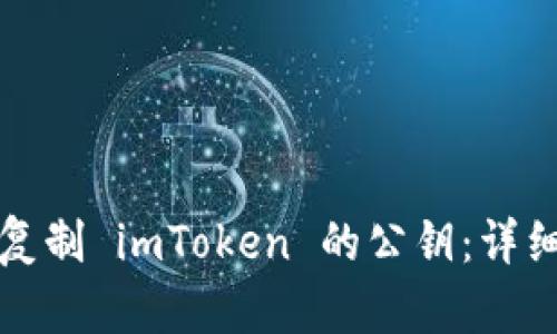 如何复制 imToken 的公钥：详细指南