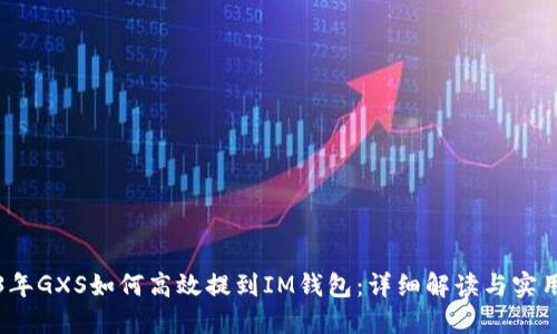 2023年GXS如何高效提到IM钱包：详细解读与实用指南