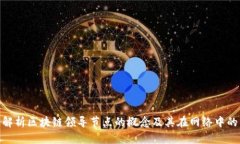 : 深入解析区块链领导节点的概念及其在网络中的