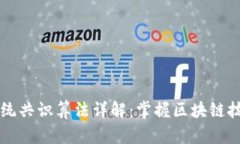 区块链系统共识算法详解：掌握区块链技术的核