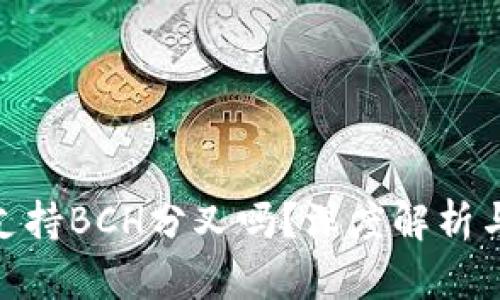 imToken支持BCH分叉吗？深度解析与用户指南