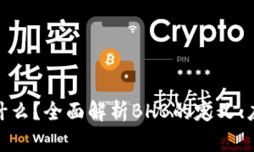 区块链BHB是什么？全面解析BHB的定义、应用与未来发展