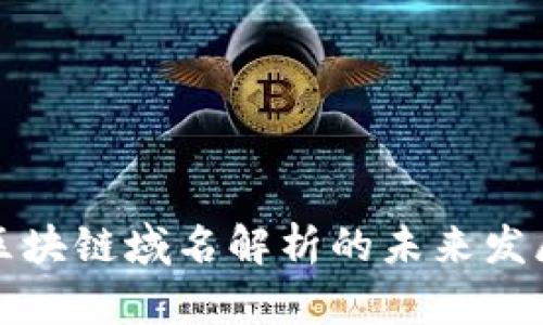 : 国内区块链域名解析的未来发展与潜力